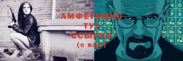 PSILOCYBIN Семёнов