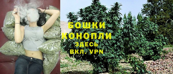 PSILOCYBIN Семёнов