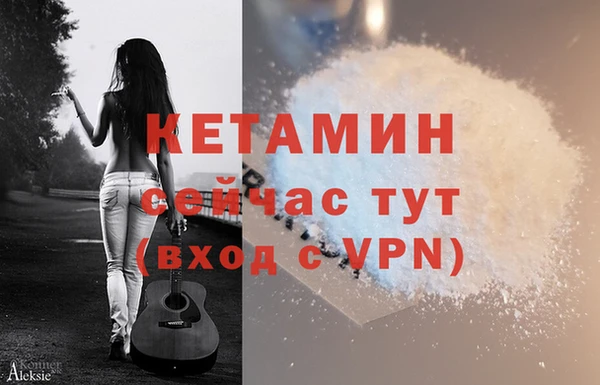 PSILOCYBIN Семёнов